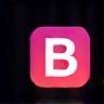 Behance Icon